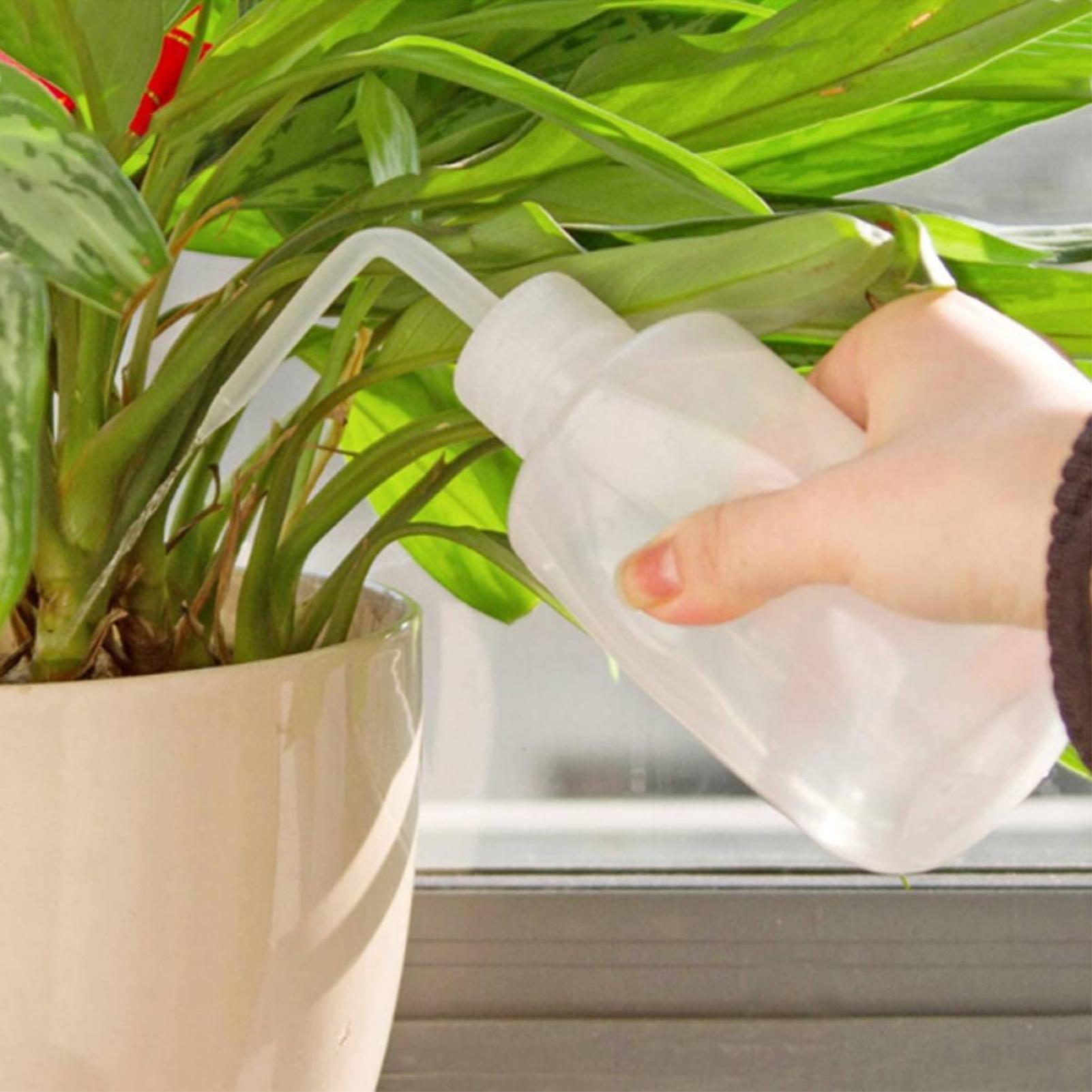 스퀴즈 워시 병 250ml 안전 병 물주기 도구 흐르는 - Food Storage And Safety 리뷰 및 가격