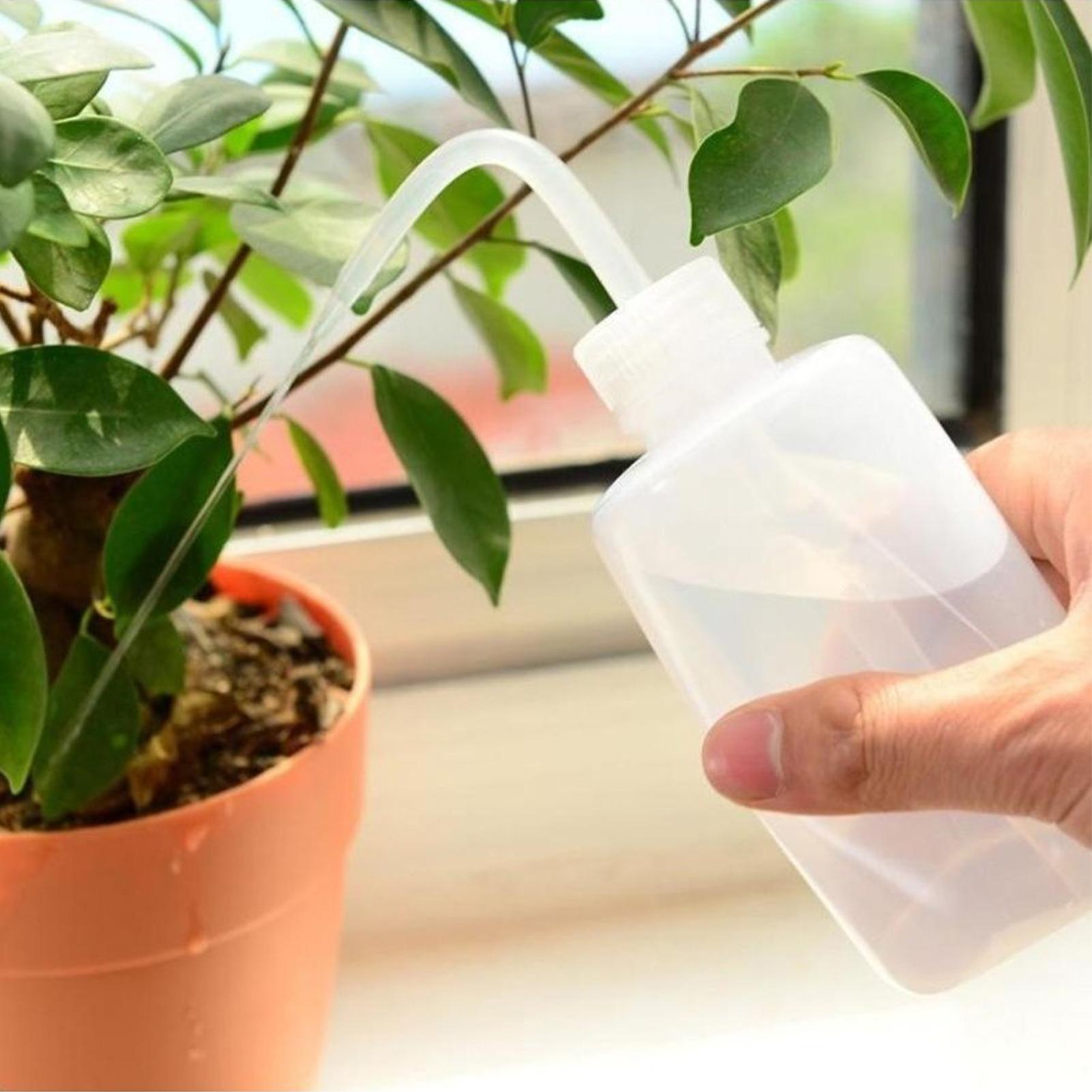 스퀴즈 워시 병 250ml 안전 병 물주기 도구 흐르는 - Food Storage And Safety 리뷰 및 가격
